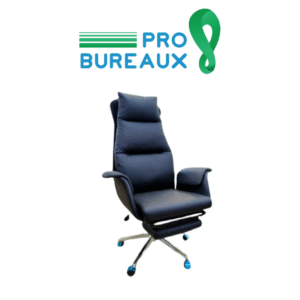 Fauteuil de bureau Ergonomique